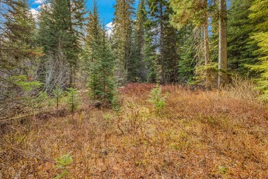 150 Pinnacle Ct unit 28, Donnelly, ID 83615 - photo 5