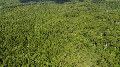 TBD Vicknair Rd, Maurepas, LA 70449 - photo 4