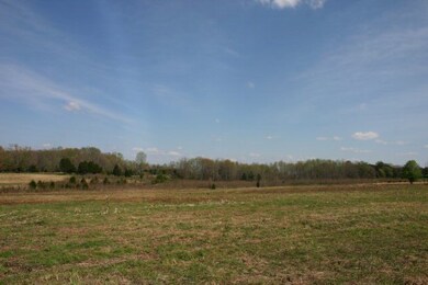 10.53 AC Norman Mayberry Rd, Cookeville, TN 38501 - photo 2