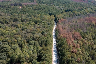 250 Riversong Rd unit 55, Carrollton, GA 30117 - photo 3