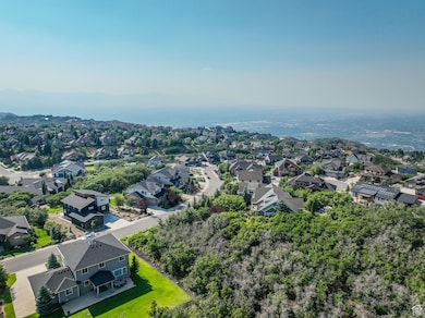 Aerial perspective of suburban area