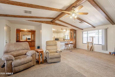 Vaulted Ceilings