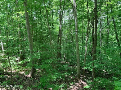 0 S Cove Rd unit 1293679, Maynardville, TN 37807 - photo 5