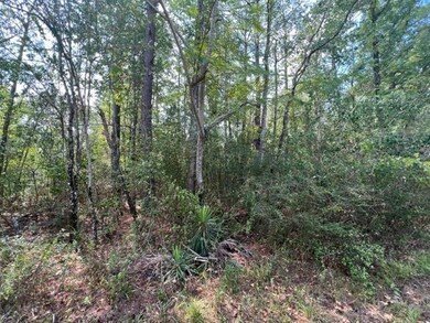 000 Hursey St, Jasper, TX 75951 - photo 4