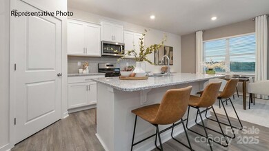 3109 Ora Smith Rd, Lincolnton, NC 28092 - photo 2