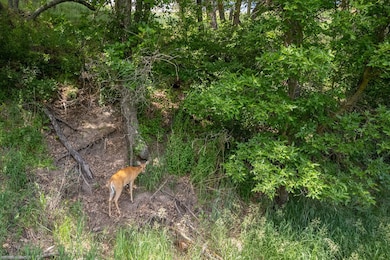 TBD Elkhorn Creek Ranch, Hulett, WY 82720 - photo 6