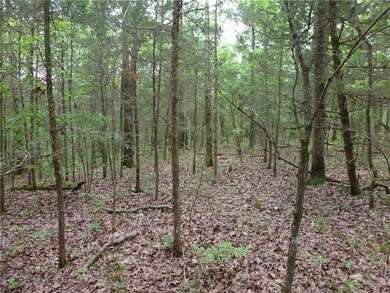 0 Ria Ln unit 1146997, Eureka Springs, AR 72631 - photo 7