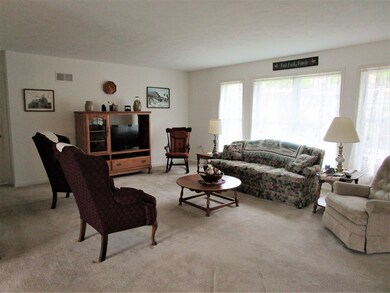 Huge Living Room with Windows overlooking