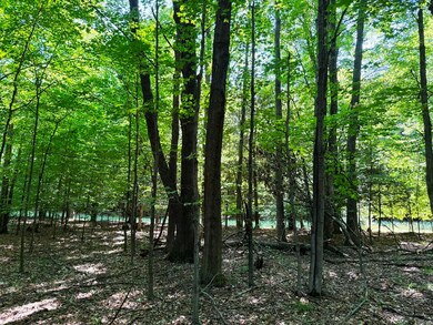IMG_1069