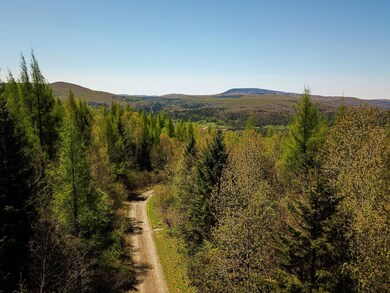 85 Border View Dr, Pittsburg, NH 03592 - photo 5