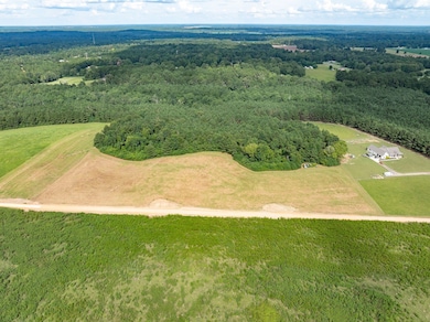 Parcel A J Runnels Rd, Petal, MS 39465 - photo 3