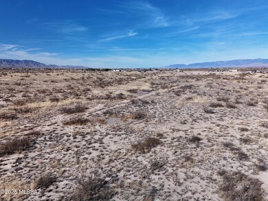 4 Joe Hines Road Parcel E, Willcox, AZ 85643 - photo 4