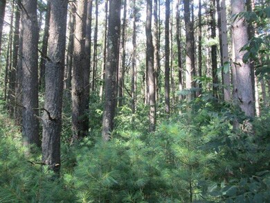 0 Wisconsin 21, Coloma, WI 54930 - photo 3