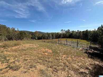 7070 Rendalia Motorway, Talladega, AL 35160 - photo 5