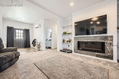 Living room featuring carpet flooring, a premium f