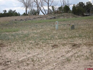 0 Road N 4 unit 683727, Cortez, CO 81321 - photo 4