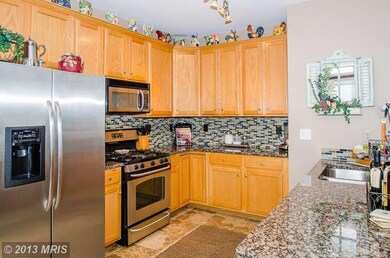 43438 Randfield Ln, Chantilly, VA 20152 - photo 7