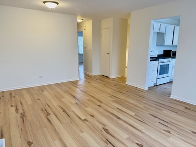 unlisted-address, Bolingbrook, IL 60440 - photo 6