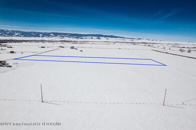 R-G Ranch Finnegan -4
