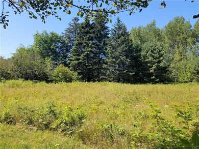 Meadow behind the cabin.