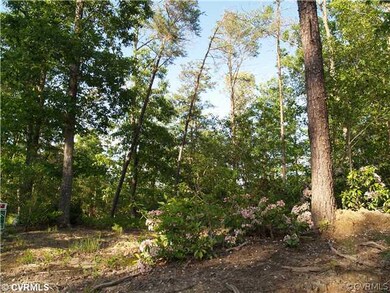 Other - Forestation within subdivision