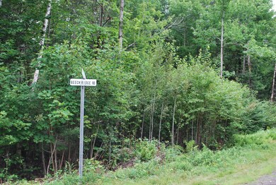 Lot 18 Moose Run Rd, Wellington, ME 04942 - photo 4