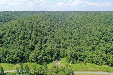 2427 Hurricane Creek Rd, Linden, TN 37096 - photo 2