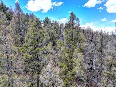 0 Galahad Way unit REC7827714, Hartsel, CO 80449 - photo 6