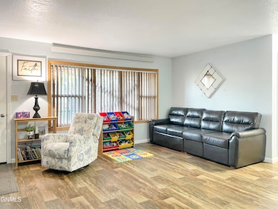 281 10th Ave N, Carrington, ND 58421 - photo 3