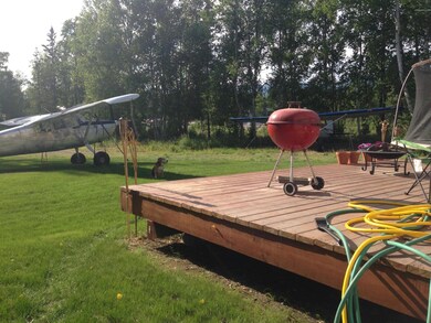 back yard 6
