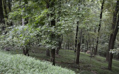 M 165 Walnut Ridge, Ellijay, GA 30540 - photo 4