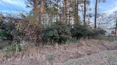 unlisted-address, Rainbow City, AL 35906 - photo 3