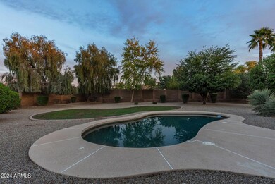 38-web-or-mls-DSC09632