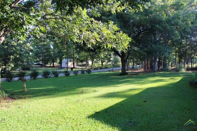 11612 County Road 284, Tyler, TX 75707 - photo 3