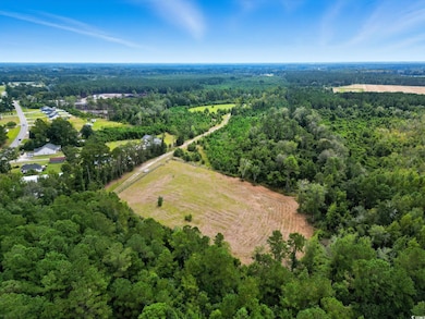TBD Highway 548, Conway, SC 29527 - photo 7
