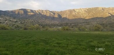 Spring grass