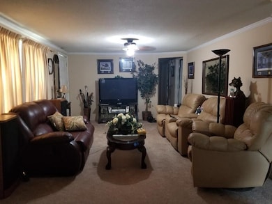 221 Carter St, Odum, GA 31555 - photo 5