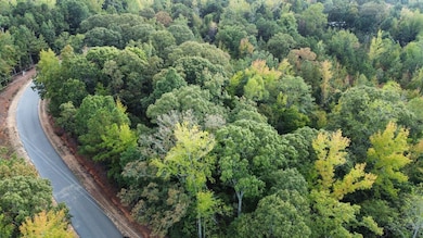 Tract D Lee Road 345, Salem, AL 36874 - photo 2