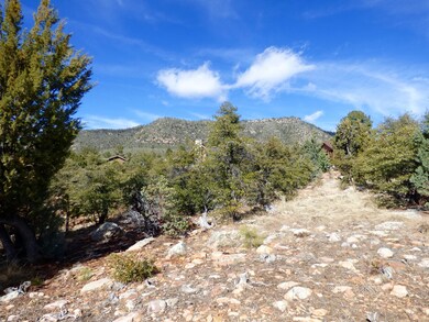 153 Windsong Ln, Pine, AZ 85544 - photo 6