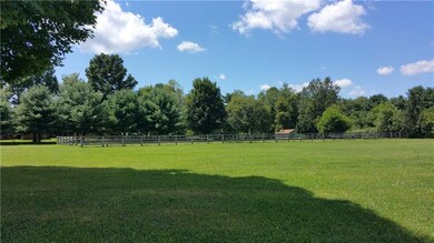 Regulation dressage arena.