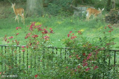 0 Prospect Hill Rd unit 1003077100, Glenn Dale, MD 20769 - photo 3