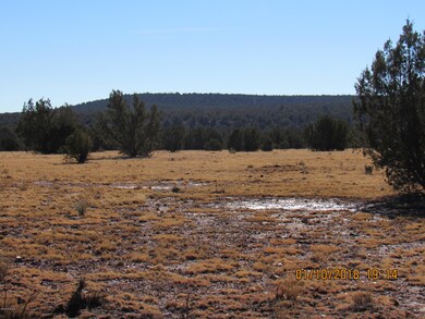 1 Juniperwood, Ash Fork, AZ 86320 - photo 3