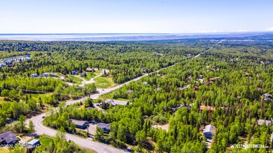 DJI_0803