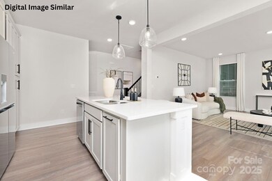 1704 Coral Bark Ln unit 19, Charlotte, NC 28216 - photo 7