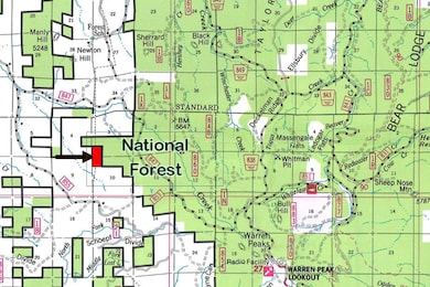 336 Middle Frk Rd, Devils Tower, WY 82714 - photo 5