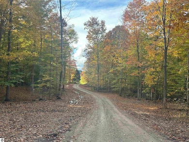 11605 S Tower Rd unit 5, Kasson Township, MI 49664 - photo 2