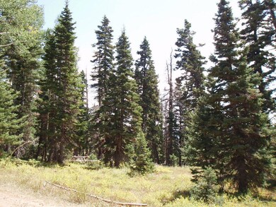 Of the Area4