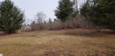 N/A Lehman Rd, Twining, MI 48766 - photo 5