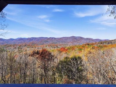 478 Cohutta Mountain Rd, Blue Ridge, GA 30513 - photo 5