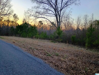 00 Comerdale Rd, Sylacauga, AL 35150 - photo 3